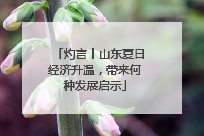 灼言丨山东夏日经济升温，带来何种发展启示