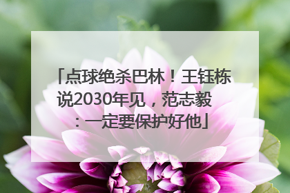 点球绝杀巴林！王钰栋说2030年见，范志毅：一定要保护好他