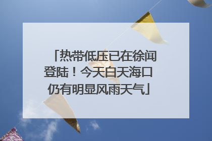 热带低压已在徐闻登陆！今天白天海口仍有明显风雨天气