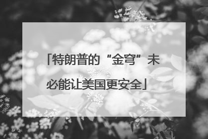 特朗普的“金穹”未必能让美国更安全