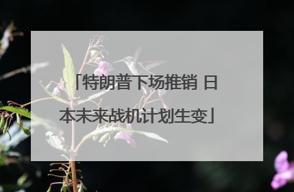 特朗普下场推销 日本未来战机计划生变