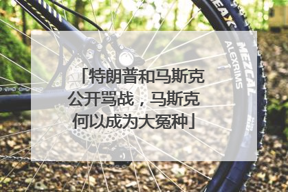 特朗普和马斯克公开骂战，马斯克何以成为大冤种