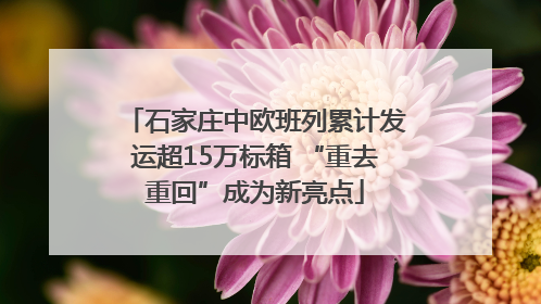 石家庄中欧班列累计发运超15万标箱 “重去重回”成为新亮点