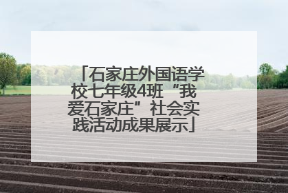 石家庄外国语学校七年级4班“我爱石家庄”社会实践活动成果展示