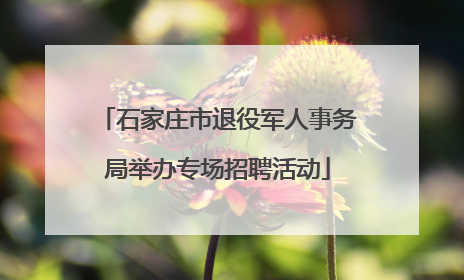 石家庄市退役军人事务局举办专场招聘活动