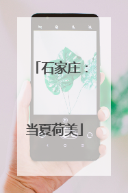 石家庄：当夏荷美
