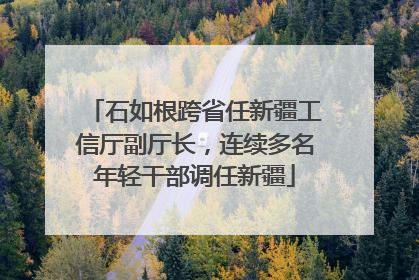 石如根跨省任新疆工信厅副厅长，连续多名年轻干部调任新疆