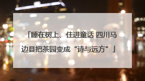 睡在树上、住进童话 四川马边县把茶园变成“诗与远方”