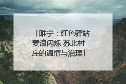 睢宁：红色驿站麦浪闪烁 苏北村庄的温情与治理