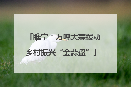 睢宁：万吨大蒜拨动乡村振兴“金蒜盘”