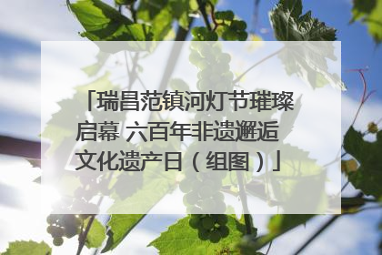 瑞昌范镇河灯节璀璨启幕 六百年非遗邂逅文化遗产日（组图）