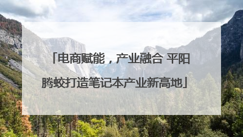 电商赋能，产业融合 平阳腾蛟打造笔记本产业新高地