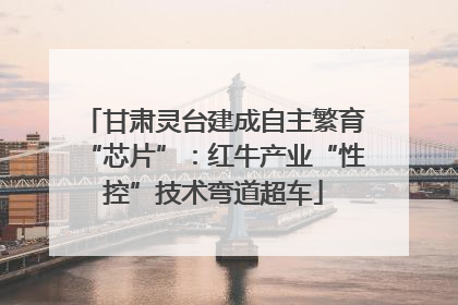 甘肃灵台建成自主繁育“芯片”：红牛产业“性控”技术弯道超车