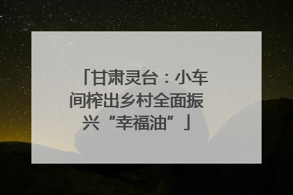甘肃灵台：小车间榨出乡村全面振兴“幸福油”