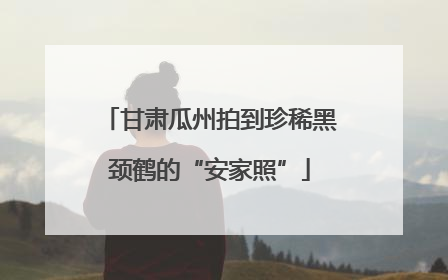 甘肃瓜州拍到珍稀黑颈鹤的“安家照”