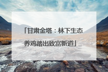 甘肃金塔：林下生态养鸡踏出致富新道