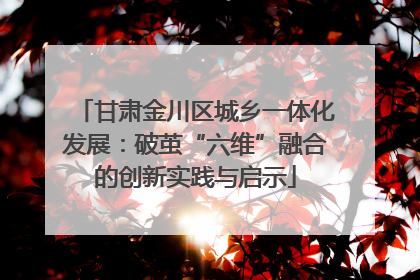 甘肃金川区城乡一体化发展：破茧“六维”融合的创新实践与启示