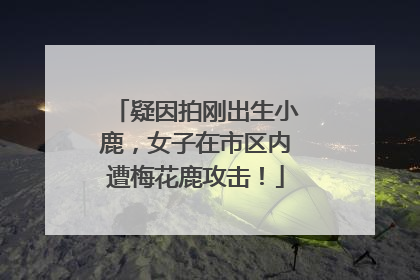 疑因拍刚出生小鹿，女子在市区内遭梅花鹿攻击！