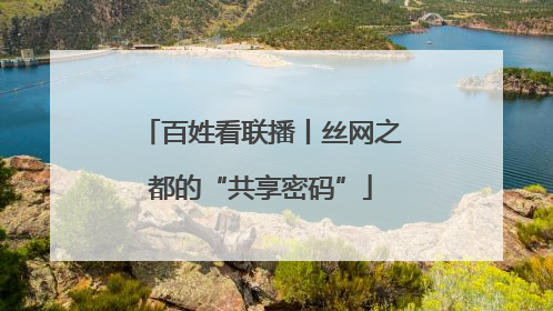 百姓看联播丨丝网之都的“共享密码”