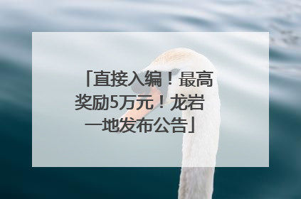 直接入编！最高奖励5万元！龙岩一地发布公告