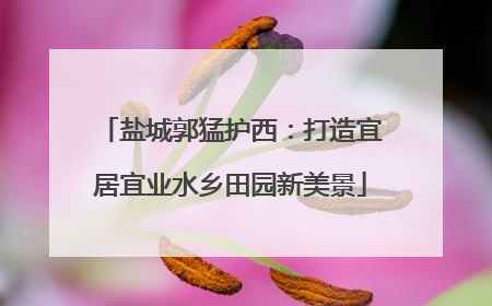 盐城郭猛护西：打造宜居宜业水乡田园新美景