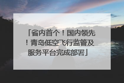 省内首个！国内领先！青岛低空飞行监管及服务平台完成部署