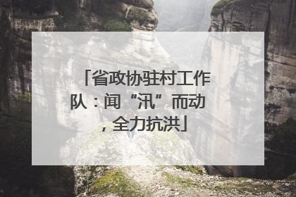 省政协驻村工作队：闻“汛”而动，全力抗洪