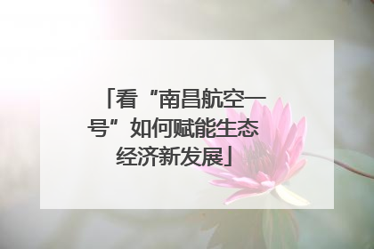 看“南昌航空一号”如何赋能生态经济新发展