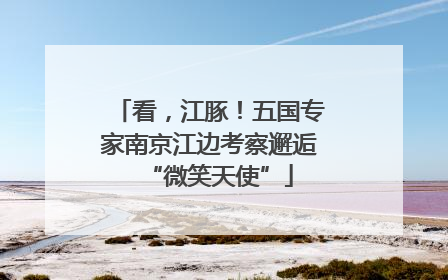 看，江豚！五国专家南京江边考察邂逅“微笑天使”