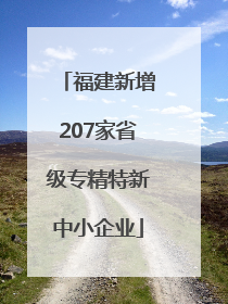 福建新增207家省级专精特新中小企业