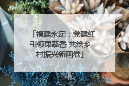 福建永定：党建红引领果蔬香 共绘乡村振兴新画卷