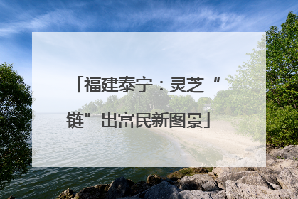 福建泰宁：灵芝“链”出富民新图景