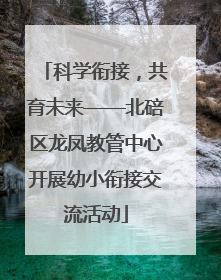 科学衔接，共育未来——北碚区龙凤教管中心开展幼小衔接交流活动