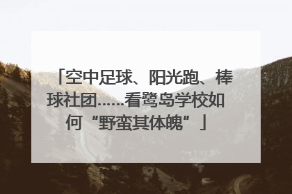 空中足球、阳光跑、棒球社团……看鹭岛学校如何“野蛮其体魄”