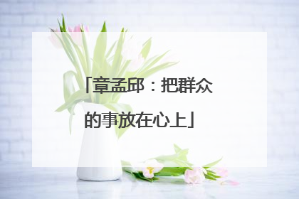 章孟邱：把群众的事放在心上