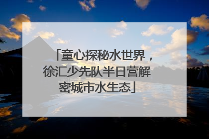 童心探秘水世界，徐汇少先队半日营解密城市水生态