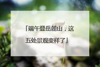 端午登岳麓山，这五处景观变样了