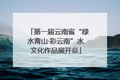 第一届云南省“绿水青山·彩云南”水文化作品展开幕