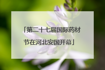 第二十七届国际药材节在河北安国开幕