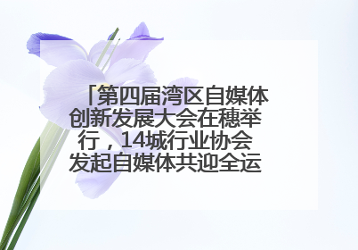 第四届湾区自媒体创新发展大会在穗举行，14城行业协会发起自媒体共迎全运会协同计划
