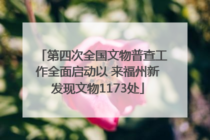第四次全国文物普查工作全面启动以 来福州新发现文物1173处
