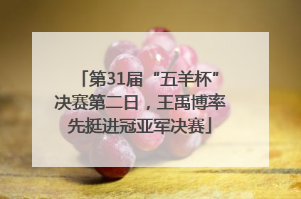 第31届“五羊杯”决赛第二日，王禹博率先挺进冠亚军决赛