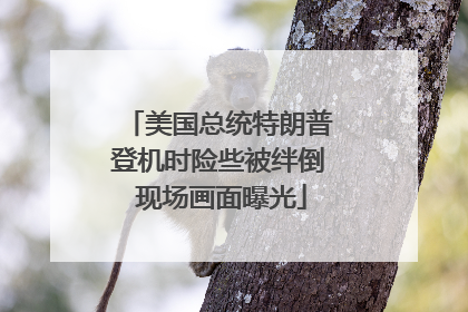 美国总统特朗普登机时险些被绊倒 现场画面曝光