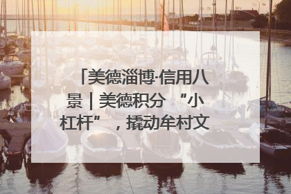 美德淄博·信用八景｜美德积分 “小杠杆”，撬动牟村文明 “大能量”