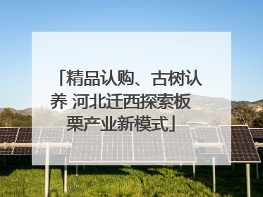 精品认购、古树认养 河北迁西探索板栗产业新模式