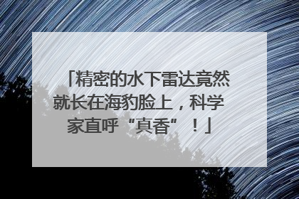 精密的水下雷达竟然就长在海豹脸上，科学家直呼“真香”！