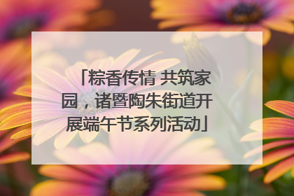 粽香传情 共筑家园，诸暨陶朱街道开展端午节系列活动