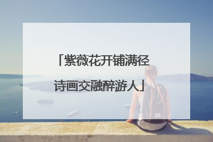 紫薇花开铺满径 诗画交融醉游人