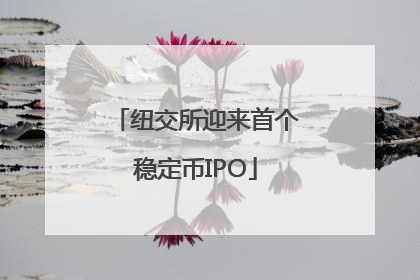 纽交所迎来首个稳定币IPO