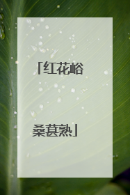 红花峪 桑葚熟